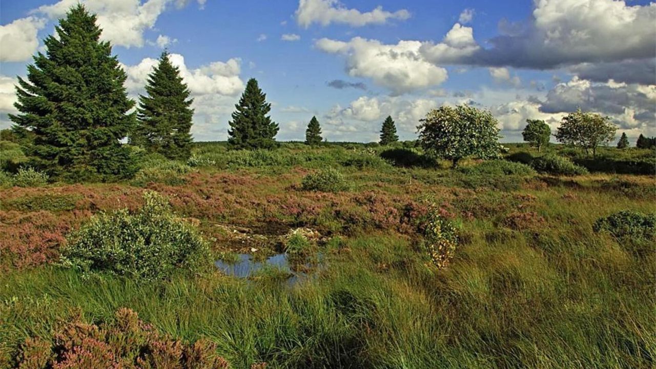 AreaSummer20KM AreaSummer20KM